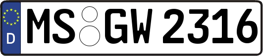 MS-GW2316