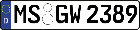 MS-GW2389