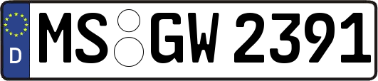 MS-GW2391