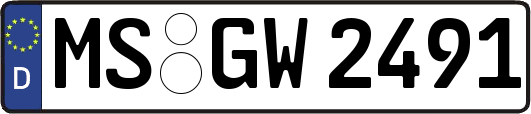 MS-GW2491