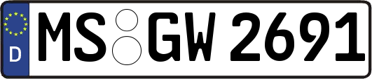 MS-GW2691