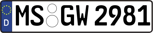 MS-GW2981