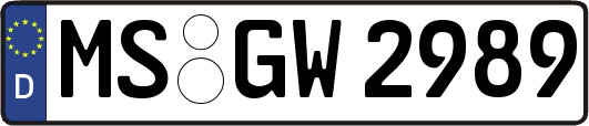 MS-GW2989