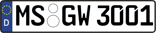 MS-GW3001