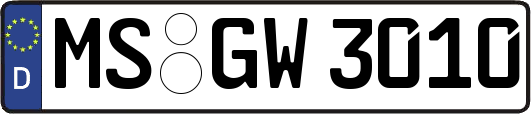 MS-GW3010