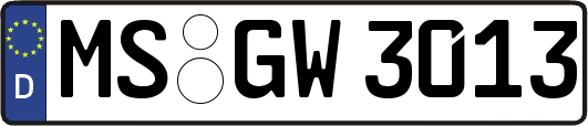 MS-GW3013