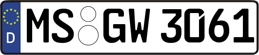 MS-GW3061
