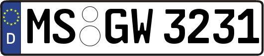 MS-GW3231