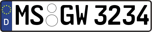 MS-GW3234