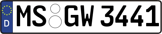 MS-GW3441