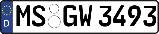 MS-GW3493