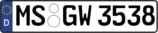 MS-GW3538