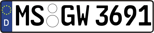 MS-GW3691