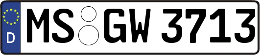 MS-GW3713