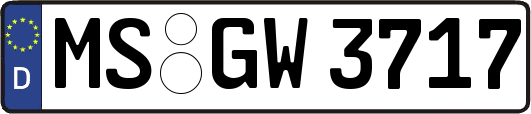 MS-GW3717