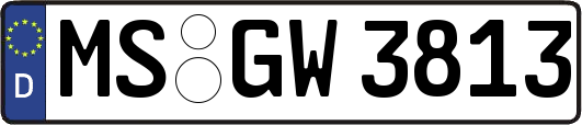 MS-GW3813