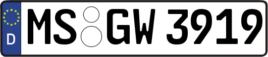 MS-GW3919