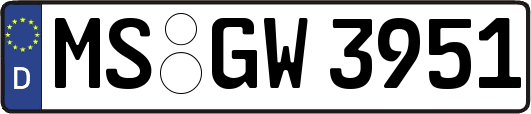 MS-GW3951