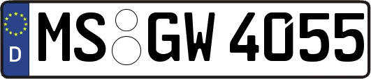 MS-GW4055