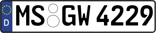 MS-GW4229
