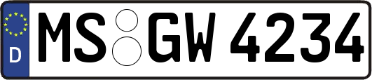MS-GW4234