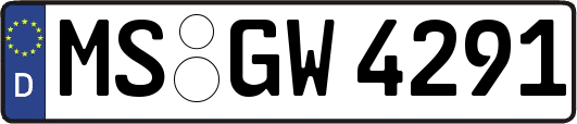 MS-GW4291