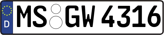 MS-GW4316
