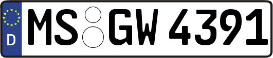 MS-GW4391