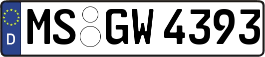 MS-GW4393