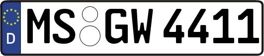 MS-GW4411