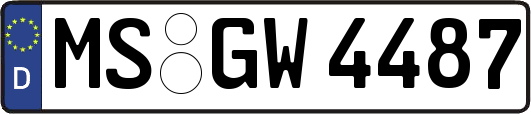 MS-GW4487
