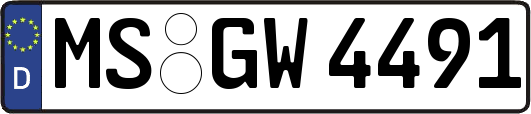 MS-GW4491