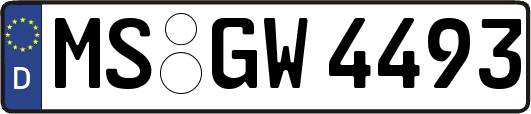 MS-GW4493