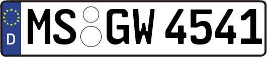 MS-GW4541
