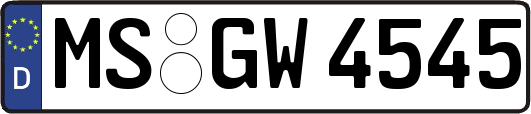 MS-GW4545