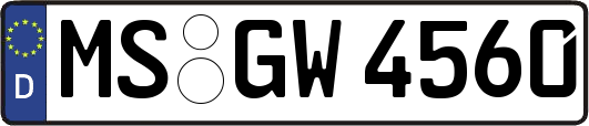 MS-GW4560