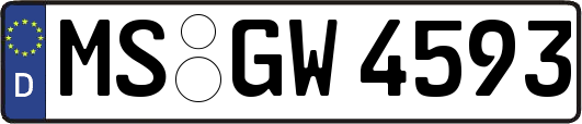 MS-GW4593