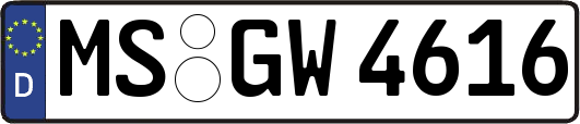 MS-GW4616