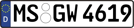 MS-GW4619