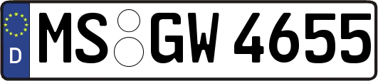 MS-GW4655