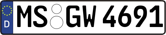 MS-GW4691