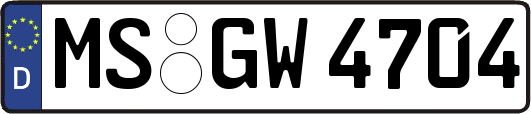 MS-GW4704