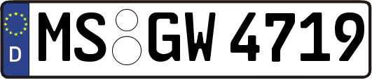 MS-GW4719