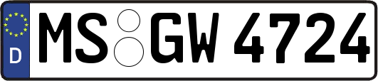 MS-GW4724