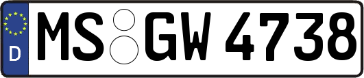 MS-GW4738