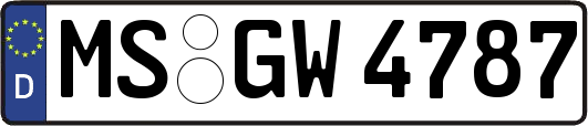 MS-GW4787