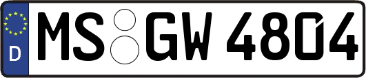MS-GW4804