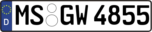 MS-GW4855