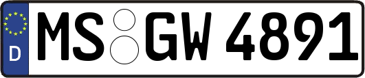 MS-GW4891