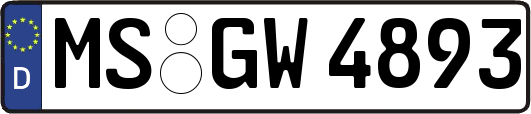 MS-GW4893